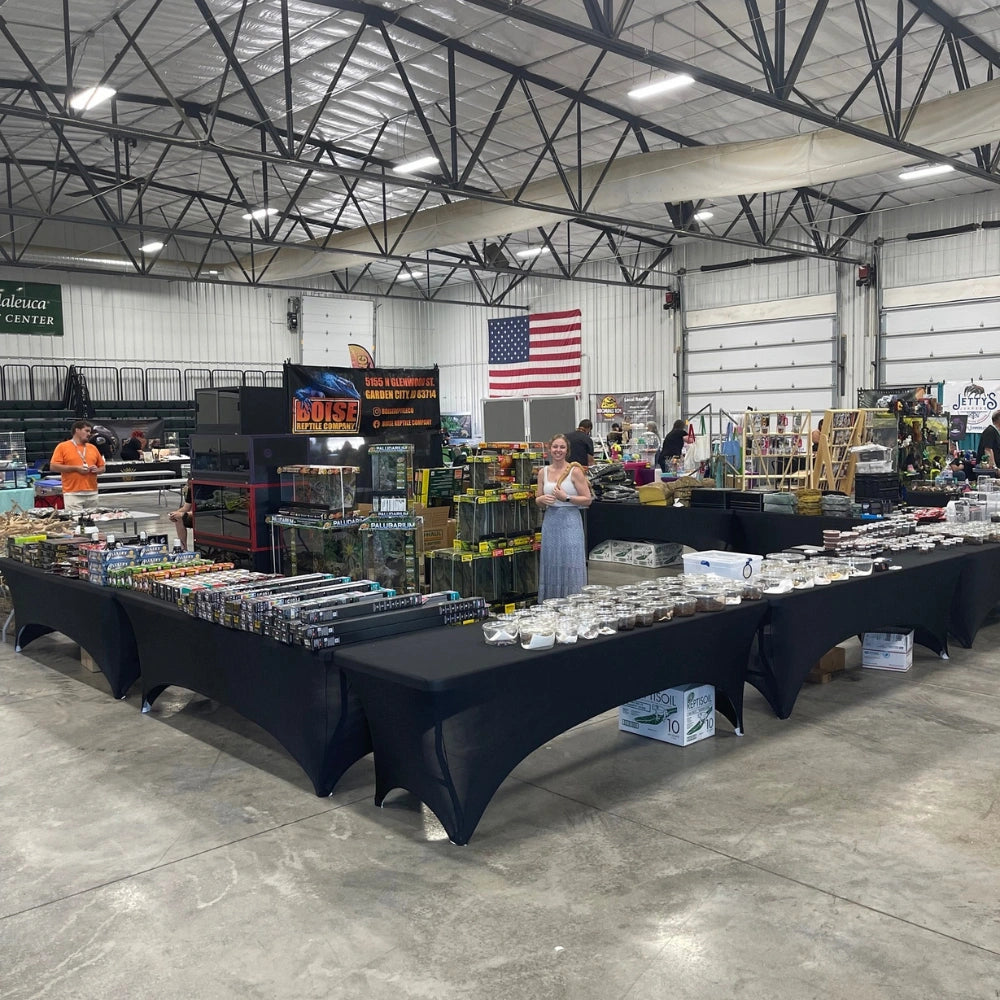 Boise Reptile Company