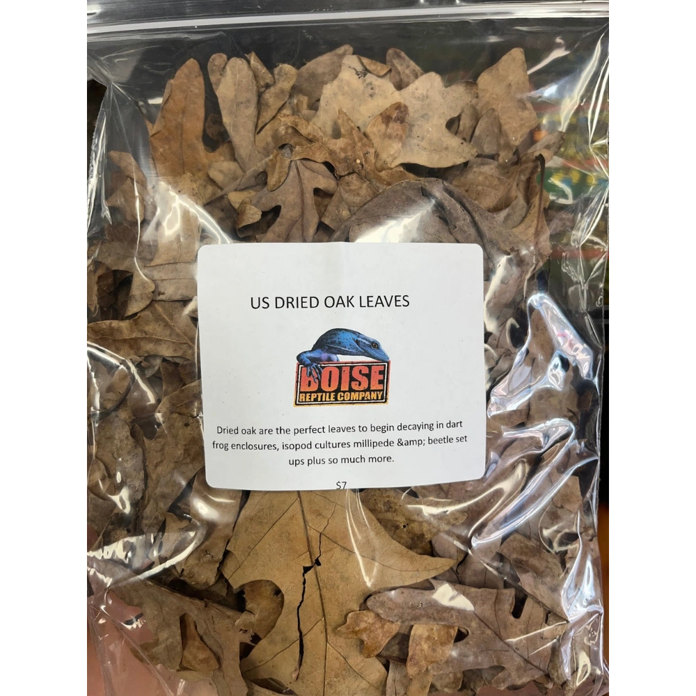US Dried Oak Leaves
